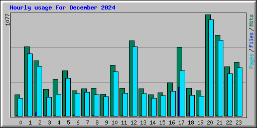 Hourly usage for December 2024