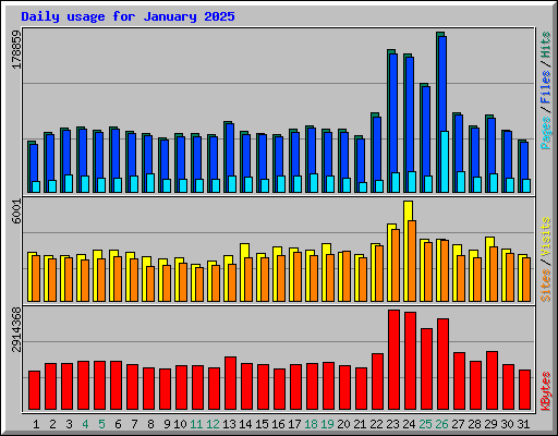 Daily usage for January 2025
