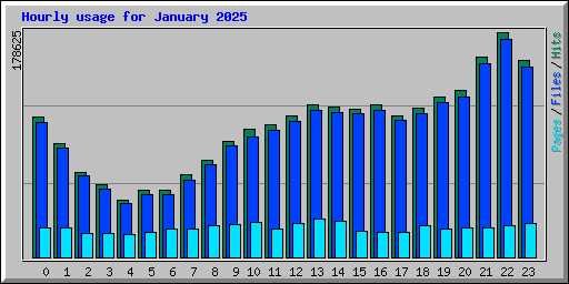 Hourly usage for January 2025