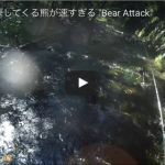 クマに襲われる動画　護身用品KSP