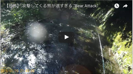 クマに襲われる動画　護身用品KSP