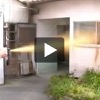 熊よけスプレー中型モデル噴射動画