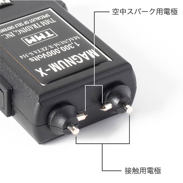 電極部