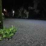 女性の夜道の一人歩き