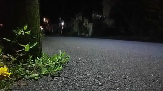 女性の夜道の一人歩き